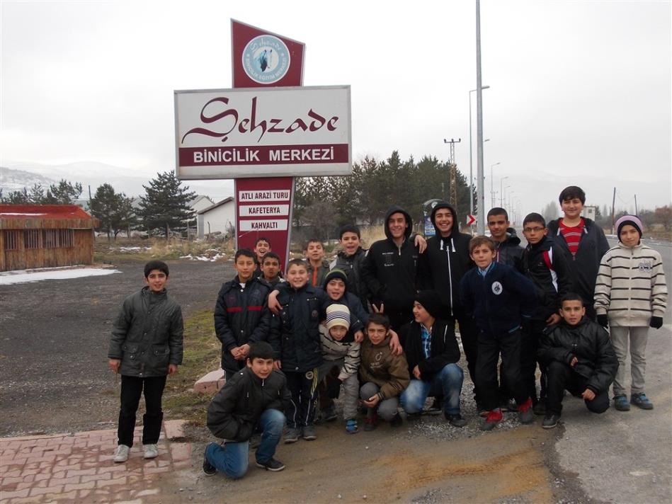 Binicilik